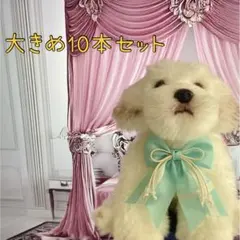 Item thumbnail for item 66debc6d-ba08-441c-b33c-04e995aaf991