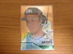 Item thumbnail for item 0e683a58-d6ee-43cb-afee-d9e33d10b99e