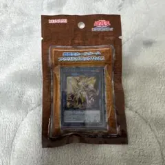 遊戯王カードゲーム　アクリルブロック　2種セット