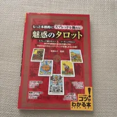 2026年最新】魔術師のトート・タロット 新体系本格完全解説の人気
