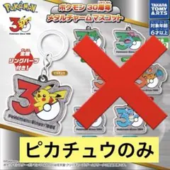 ポケモン ✨30周年 ✨メタルチャームマスコット　ピカチュウのみ