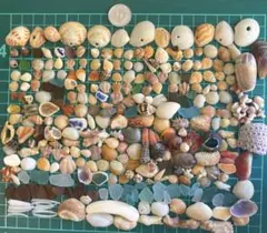 くるみ(’-’*)♪様 リクエスト 3点 まとめ商品