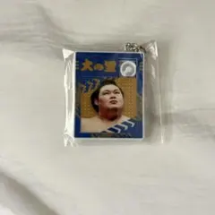 Item thumbnail for item eec1e168-0226-4793-8a79-f6290f0aaaef