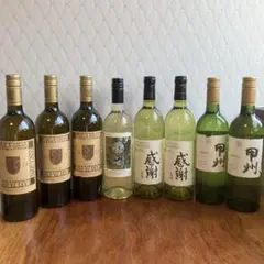 農楽蔵（のらくら）ワイン2本セット 北海道・道南地方に 新時代の生産者を訪ねて #02農楽蔵 – PERFECT DAY