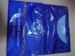 Item thumbnail for item 71c4eb22-6088-42f0-aed2-732f02a9a507