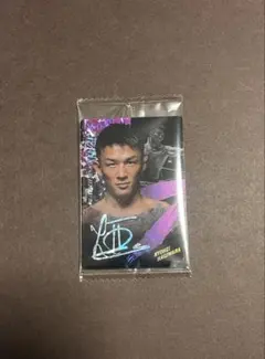 Item thumbnail for item b2e99c1f-6070-4908-ac45-e653c785fbce