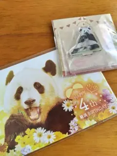 Item thumbnail for item 2e05cbf5-1aa8-4d00-beb5-ba3bbd13589d