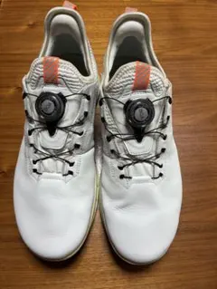 ECCO BIOM C4 ゴルフシューズ サイズEU40