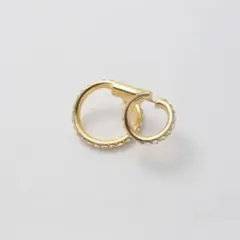 片耳】REPOSSI アンティフェール 2連ピアスPG - メルカリ