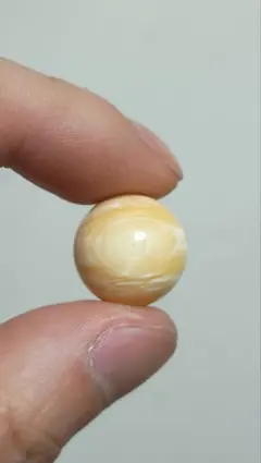 2026年最新】鯨歯の人気アイテム - メルカリ