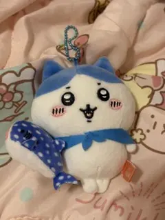 ちいかわ ハチワレ 沖縄のサムネイル