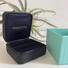 Item thumbnail for item dac9a5e4-b422-46e8-a581-51453fcdb1d6