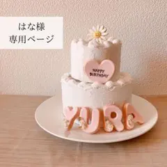 はな様専用ページ　クレイケーキ　フェイクスイーツ　名前アイシングクッキー