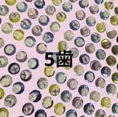 2026年最新】歯イルシールの人気アイテム - メルカリ