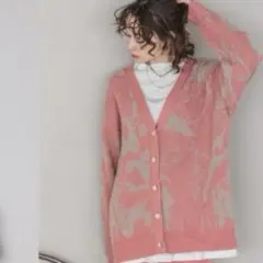 12G Vカーディガン＊JEANASIS