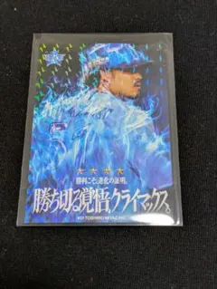 ぬんちゃっく☆様 リクエスト 2点 まとめ商品