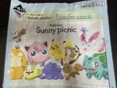 ポケモン 一番くじ F賞 ピクニックタオルコレクション