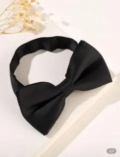 Item thumbnail for item 63238caa-275a-4cf7-a73d-e0a9b780f59a