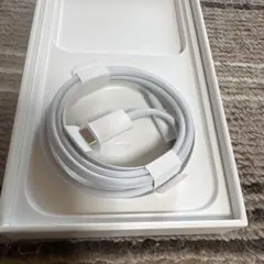 iPhoneタイプC Lightningケーブル　純正　Apple