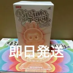 Labubu Big into Energy 1箱