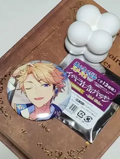 あんさんぶるスターズ!!イベコレ缶バッジ2024SPRING 嵐