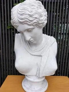 芸大 美大 ローマ カピトリーノ美術館 傷つくアマゾン 胸像 石膏像 芸大 美大 ローマ カピトリーノ美術館 傷つくアマゾン 胸像 石膏像