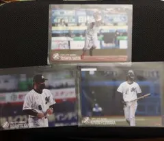 Item thumbnail for item 5da7b6bf-0d4c-412b-802d-ccef07d830f8