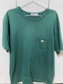 SCYE BASICS グリーン Tシャツ 40サイズのサムネイル