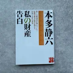 私の財産告白