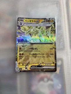 バンギラスex RR SV3 黒炎の支配者
