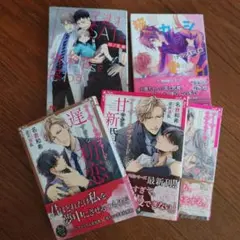 BL小説 商業BL まとめ売り