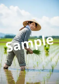 【現品限り！】【AI作成写真L判サイズ】理想の彼女 田植え40代