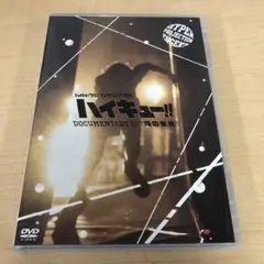 ハイキュー Vリーグコラボ バックステージパス 新品未使用 ハイキュー Vリーグ バックステージパス風カード IDイメージ