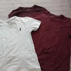 ホワイト・バーガンディ Tシャツ 3枚セット