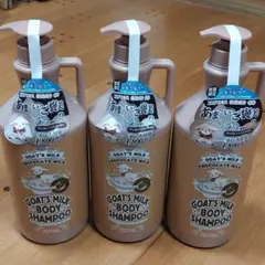 銀座ステファニー PURE CICA SHEA ボディウォッシュ 1kg×3本 - メルカリ