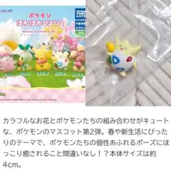 ポケモン ぽかぽかびより2 トゲピー