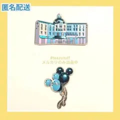 ディズニーシー 25周年 ピンバッジ ミラコスタ & バルーン