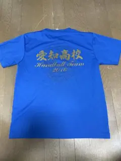 愛知高校ハンドボール レア色