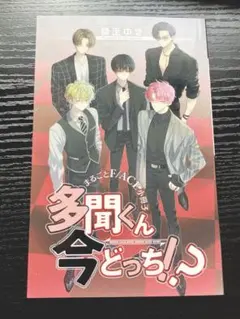 多聞くん今どっち！？ まるごとF/ACE小冊子