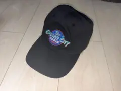 AVIREX THE Crown City キャップ