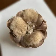 Item thumbnail for item 7d74a827-82f7-49a5-b070-433868a5f47a