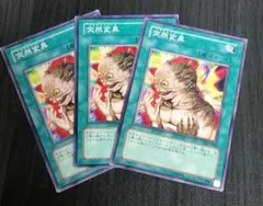 遊戯王　突然変異　3枚セット