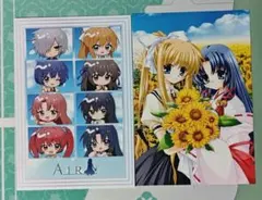 AIR POP UP SHOP 特典ポストカード2枚セット