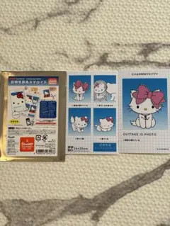 サンリオ 証明写真風 スマロイド NG チャーミーキティ