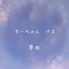 専用ページ