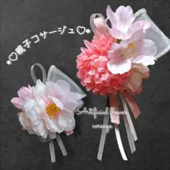 Item thumbnail for item 06708ed3-44d3-4cca-a3e4-d131fc3540b6