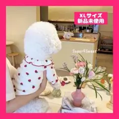犬服　いちご柄　フリル　ワンピース　小型犬　XLサイズ　春　夏　ペット服　リブ