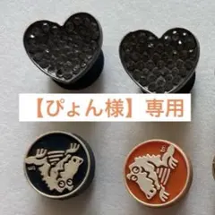 【ぴょん様】専用クロックスジビッツチャーム