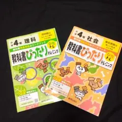 Item thumbnail for item 40b91a98-a2f0-432f-9ebe-69b41eaefd79