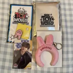 チャンビン SKZ TOYWORLD グッズ ランダム FCくじ スキズ